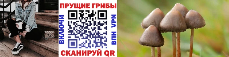 Купить  Суоярви  Галлюциногенные грибы ЛСД 